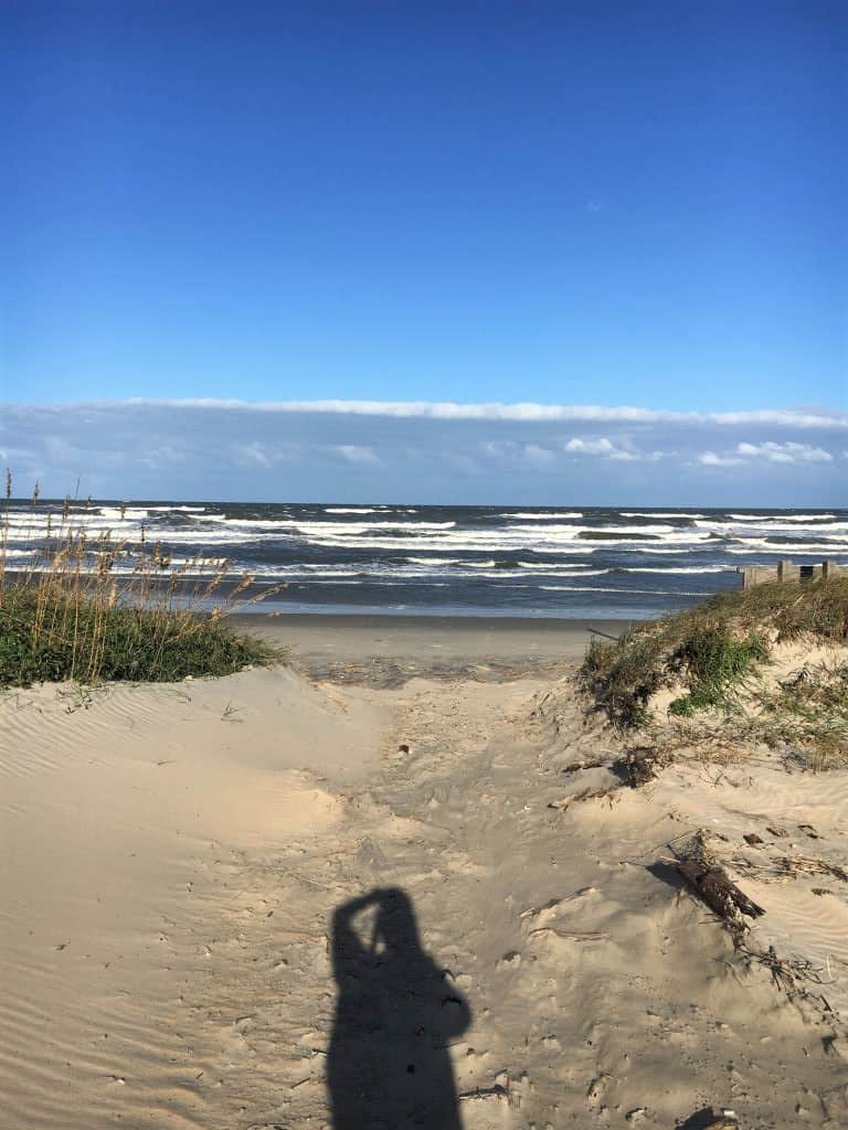 The campsites are close to the beach and accessible via a small trail.