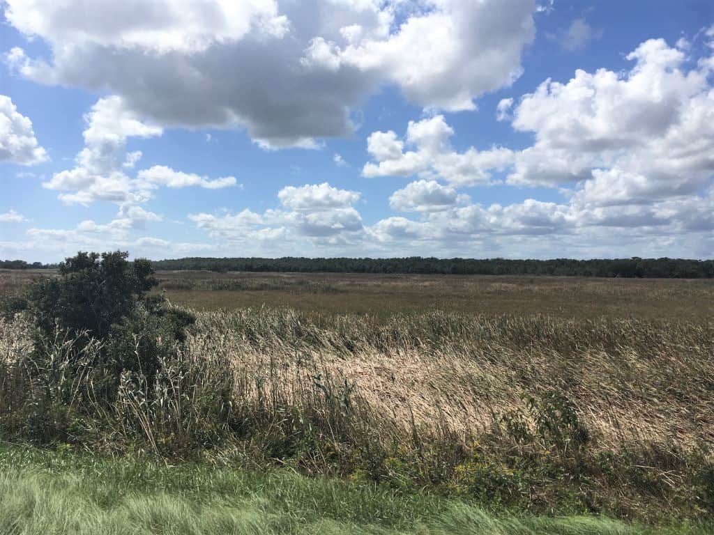 Expansive views of fields of grass that hid the fact a beach was nearby while hiking through the refuge.