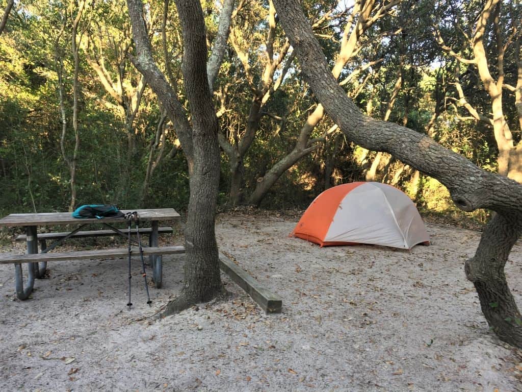 Campsite at False Cape state park with tent pad and picnic table. There were several small trees lining the tent pad.