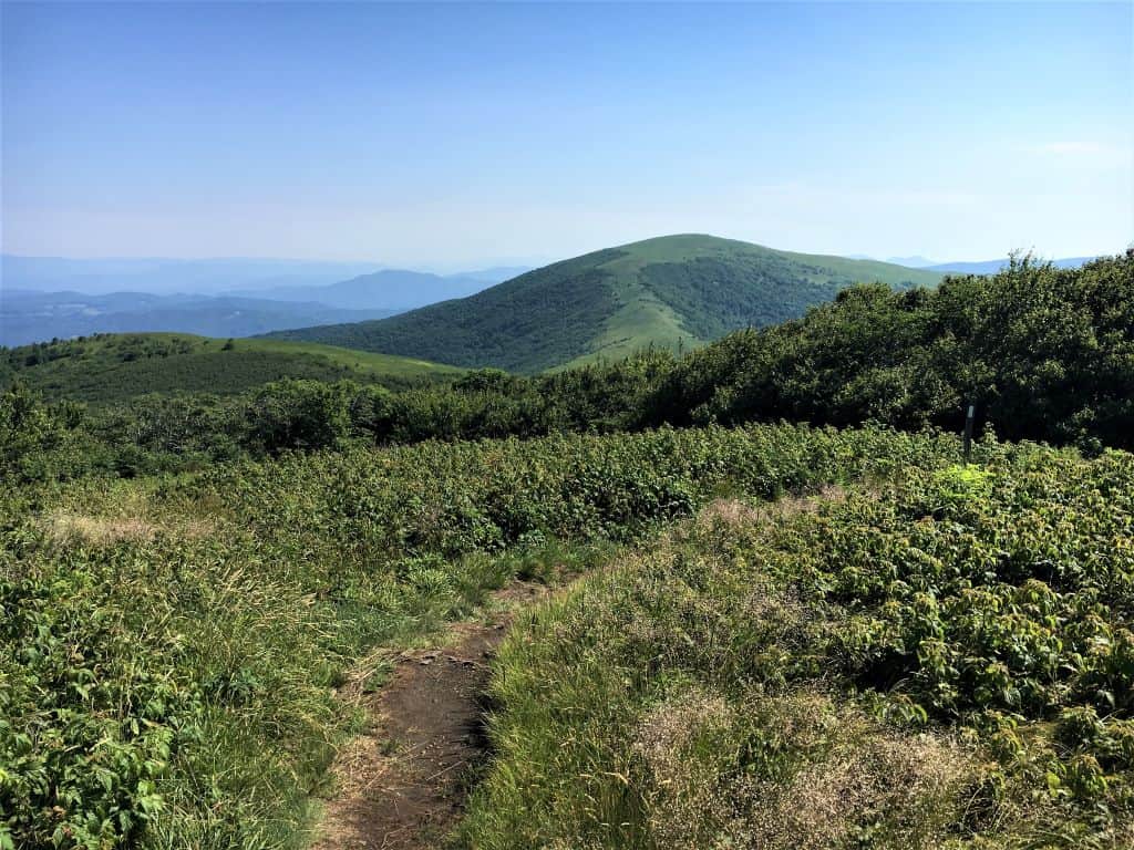 Hump Mountain is the biggest climb on this stretch of trail and can be seen from Little Hump Mountain.