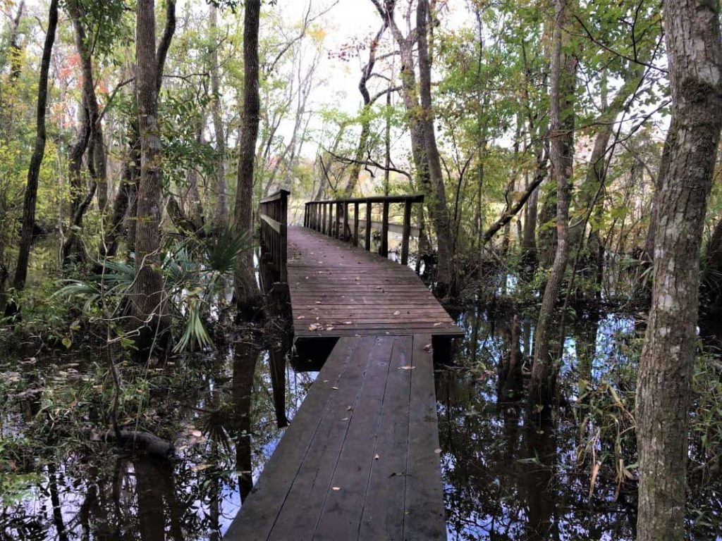 Low bridge over swampy area on Ogeechee Canal Trail.