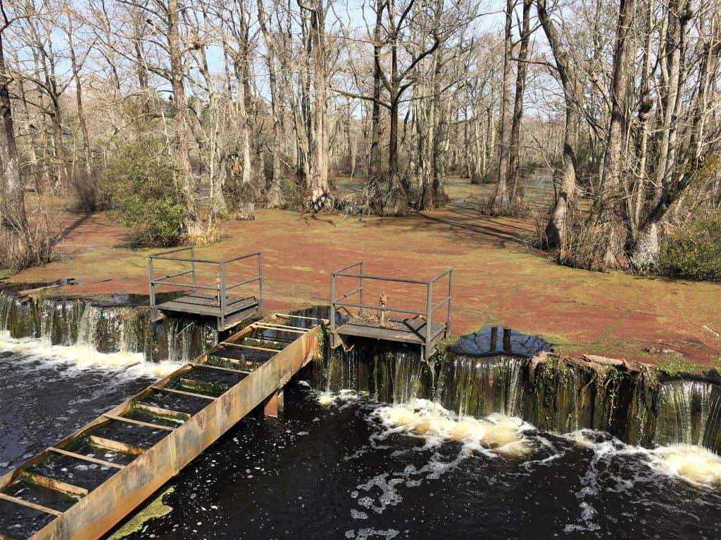A small damn separates the swamp from the millpond with a short ledge creating the drop-off.