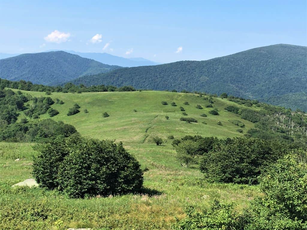 Unobstructed from Little Hump Mountain with the Appalachian trail running through the middle.