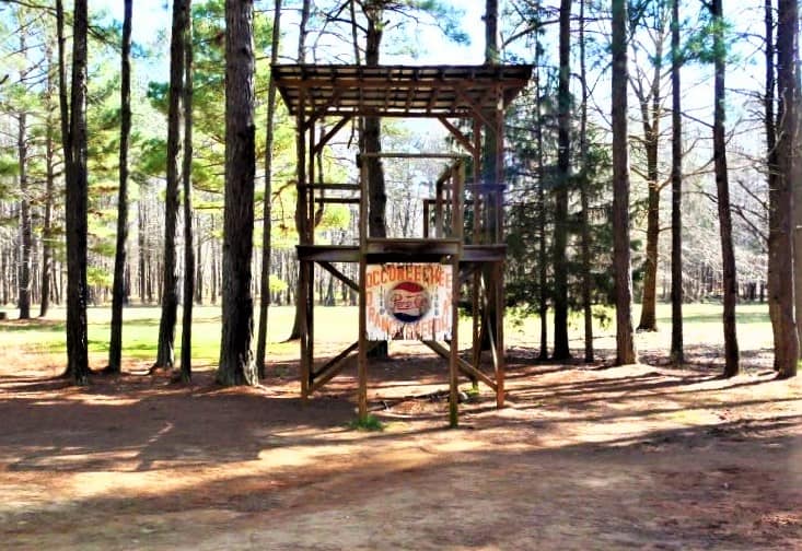 Old Occoneechee flag stand with Pepsi advertisement is now surrounded by trees.
