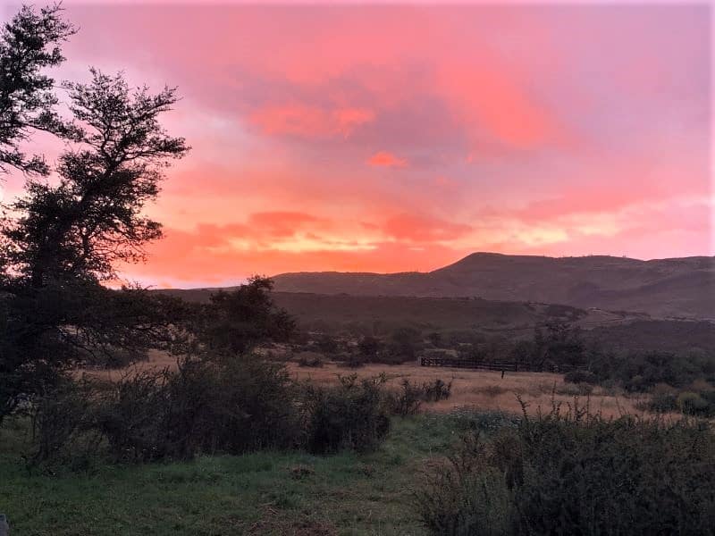 Pink and purple sunset that looks like the sky is on fire at Torres del Paine.