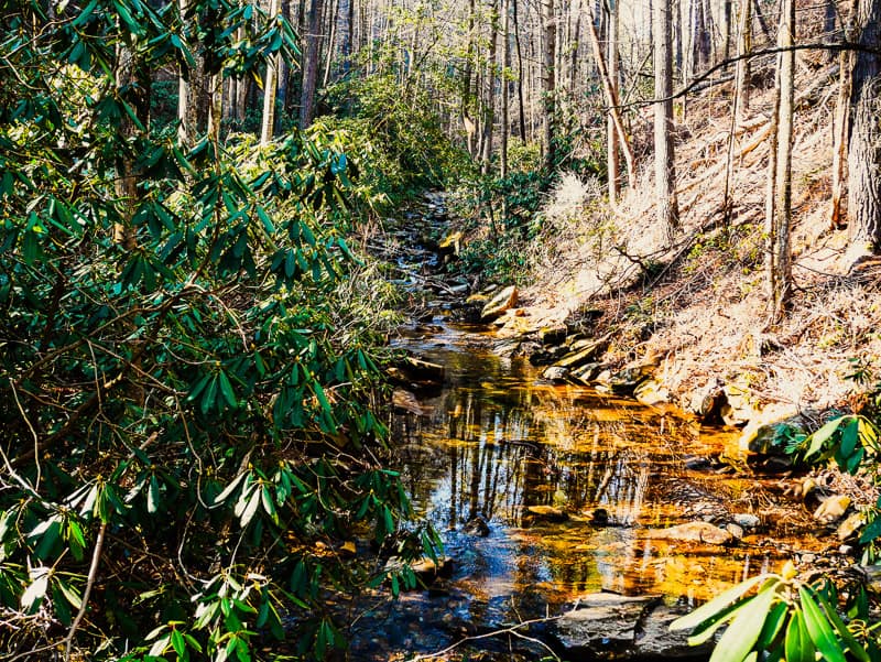 Creek at bottom of Shinny Trail.