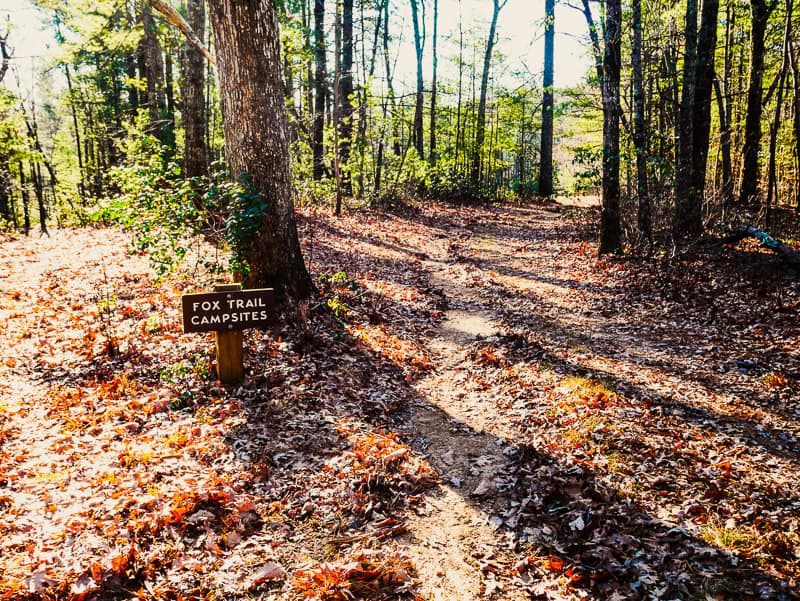 A small sign indicating the leaf covered spur trail leads to the Fox Trail campsites at South Mountains State Park.