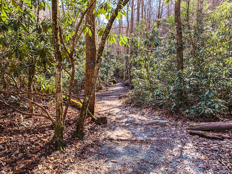 High Shoals Falls Loop as it narrows.