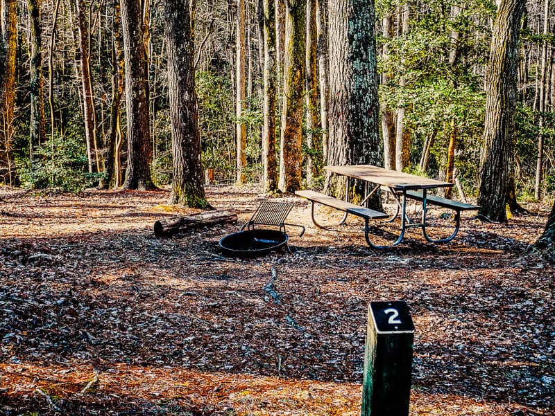 Jacob Branch primitive campsite number two.