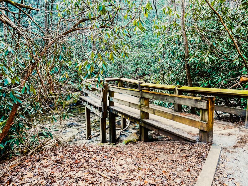A small wooden lookout on Hemlock Nature Trail to view the river.