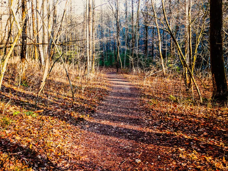 River Trail at South Mountains State Park.