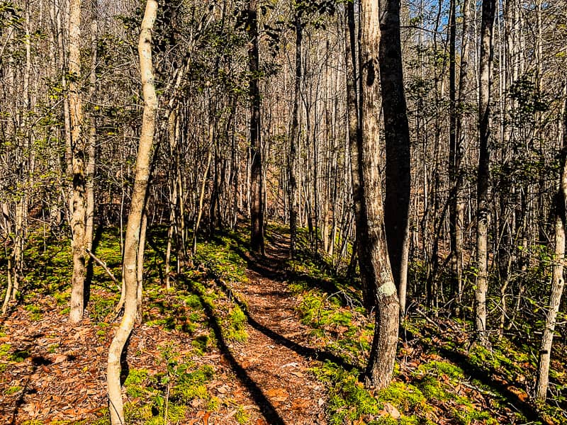 A section of River Trail at South Mountains State Park.