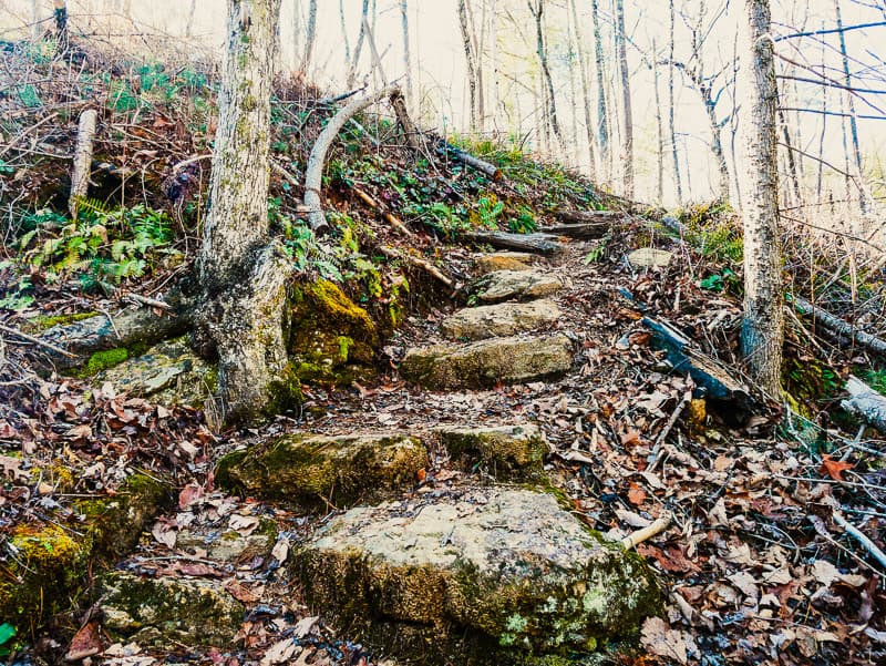 Rock steps on Possum Trail.