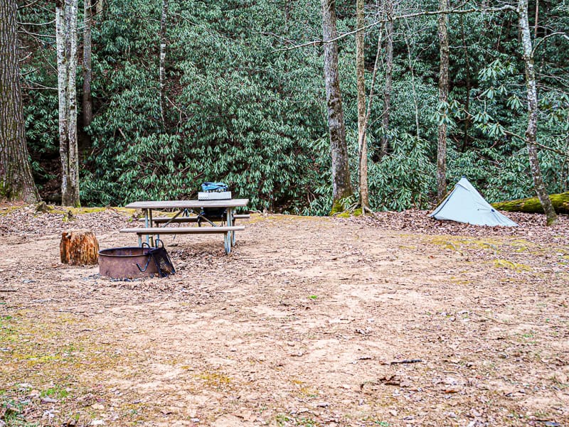 One of the campsites at Shinny Primitive Campground