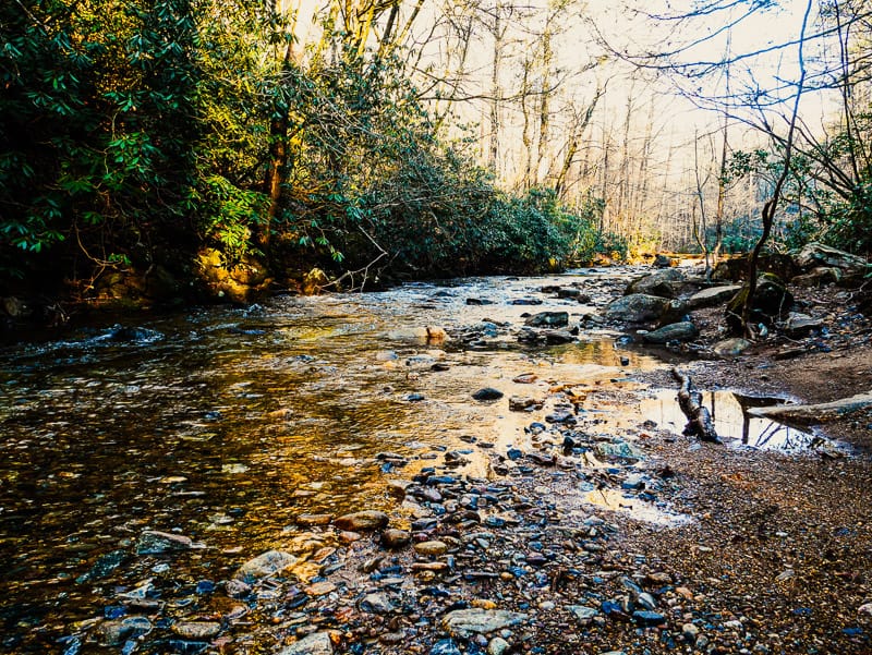 Beach area along Jacob Fork River.