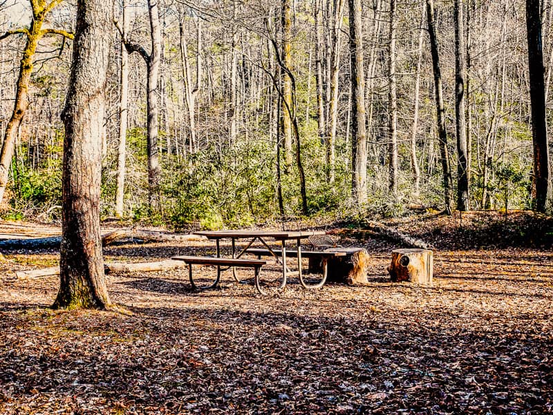 Campsite at Upper Falls Primitive Campground.