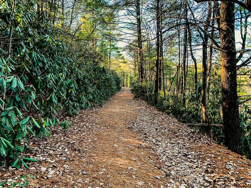 Upper Falls Trail at South Mountains State park.