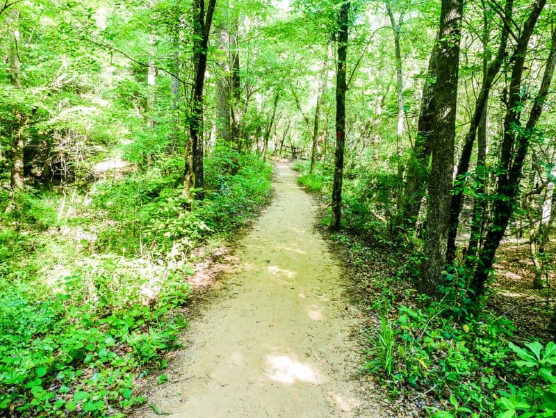 Flat, well-manicured section of Bird Trail
