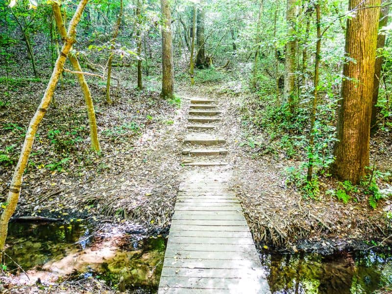 Stairs leading from Galax Trail to 350 Yard Trail