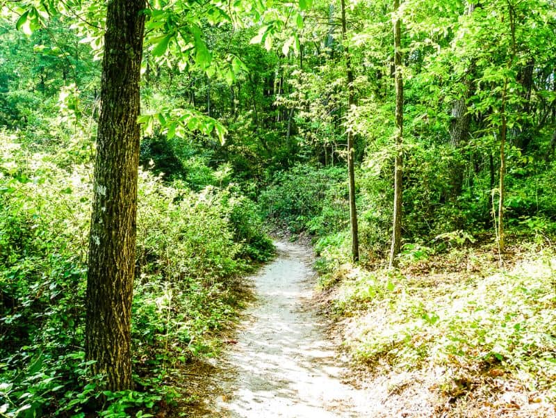 Hiking down Lake View Trail