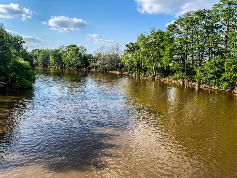 Neuse River as it bends around Neuseway Nature Park