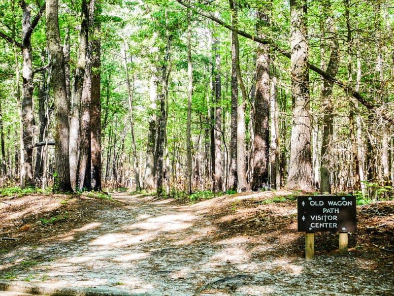 Trailhead for Old Wagon Path Trail from Parking Lot