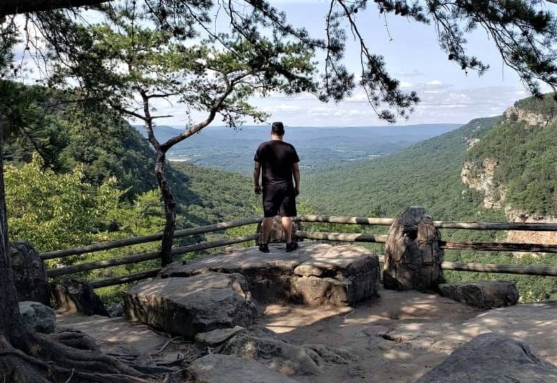 Man standing on rock looking at overlook in Cloudland Canyon State Park, GA.