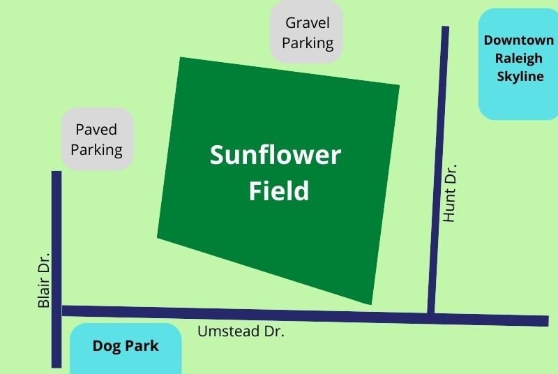 Diagram explaining the sunflower field orientation with nearby roads and the downtown skyline.