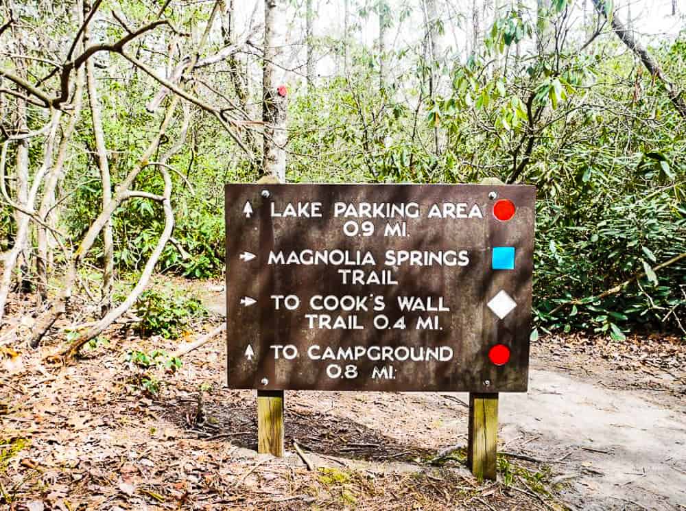Park trail sign with blazes indicating a large trail intersection.