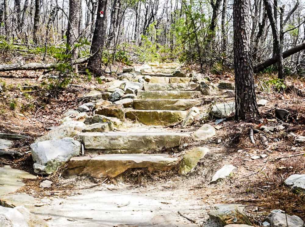 A few of the many stone stairs leading up to Moore's Knob.