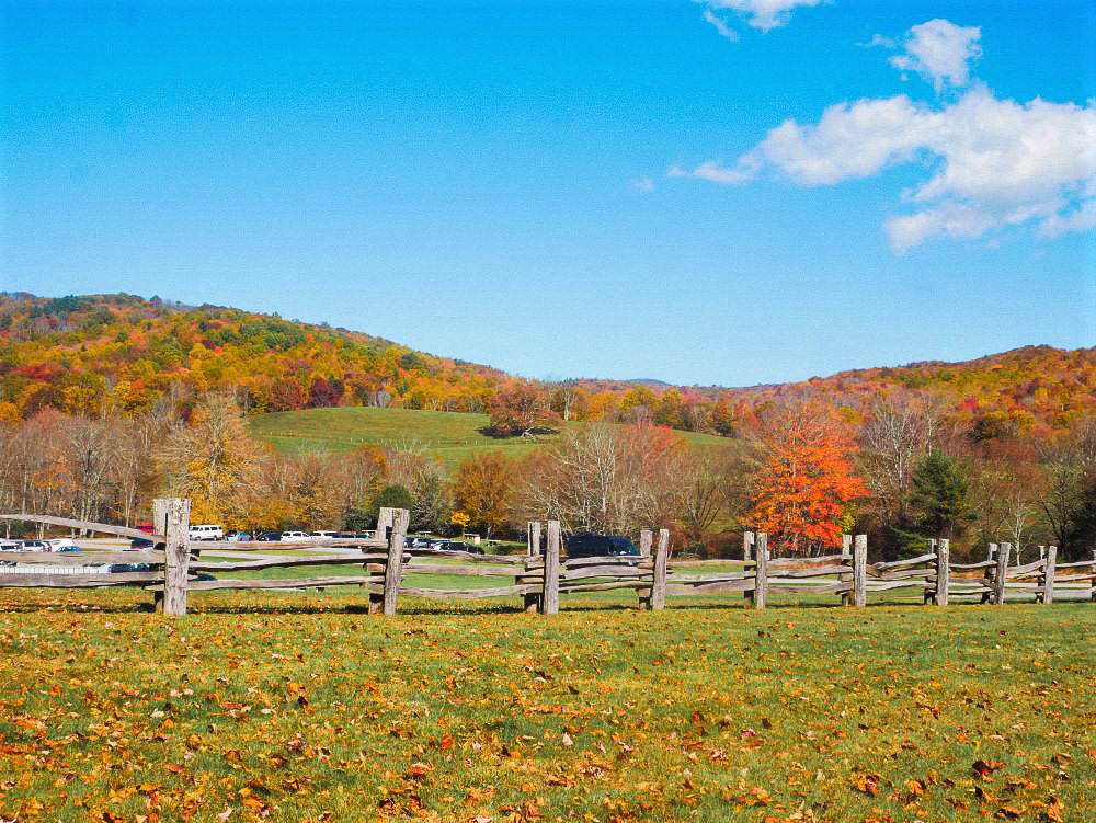 Hill with green meadow and fall foliage trees behind a wooden fence.