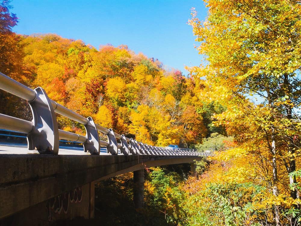 Car driving over Green Mountain bridge with view from underneath the bridge.