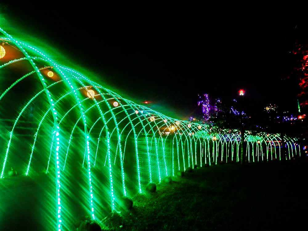 Neon green lighted arches leading from Haunted House to area with The Boneyard and Freaky Forest.