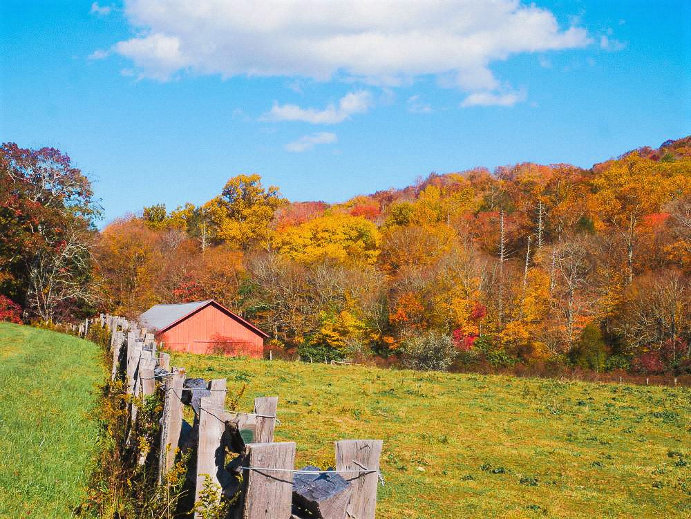 Red barn inside of wooden fence with red and orange trees in the background.