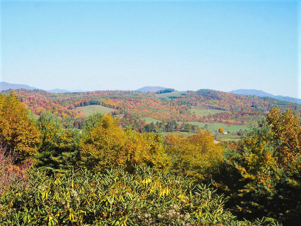 Area with less fall color on the trees and green meadows mixed with pockets of trees starting to turn yellow and red.