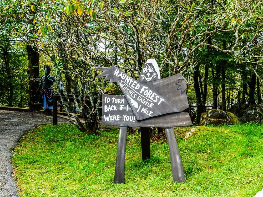Entrance to the path leading to the Wicked Witch's Castle with a flying monkey in the background.