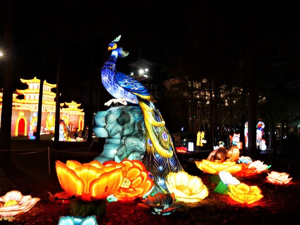 A lantern display of a blue peacock sitting on top of a tree stump surrounded by flowers.