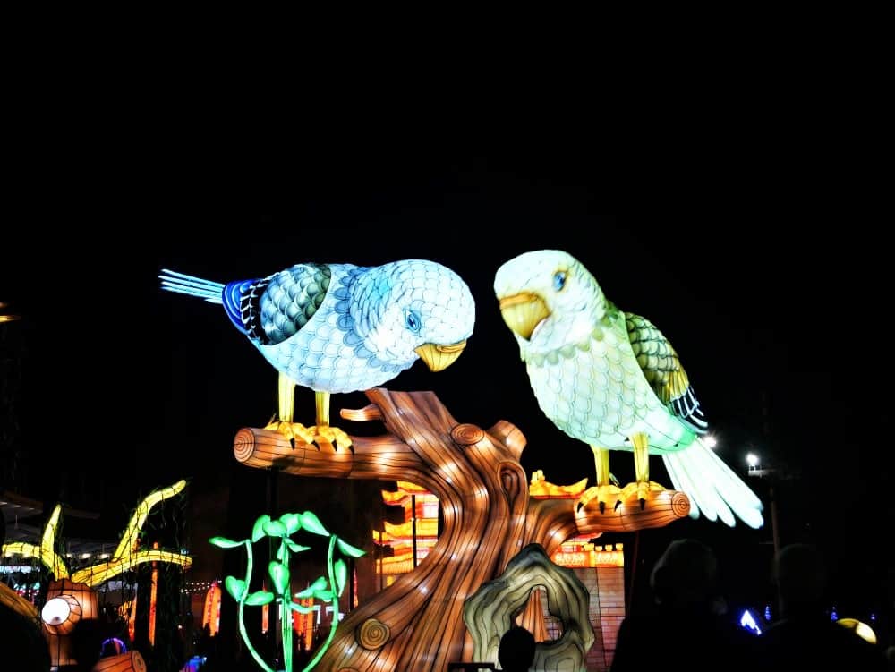 An interactive lantern display of two birds that talk by repeating what is said in a nearby microphone