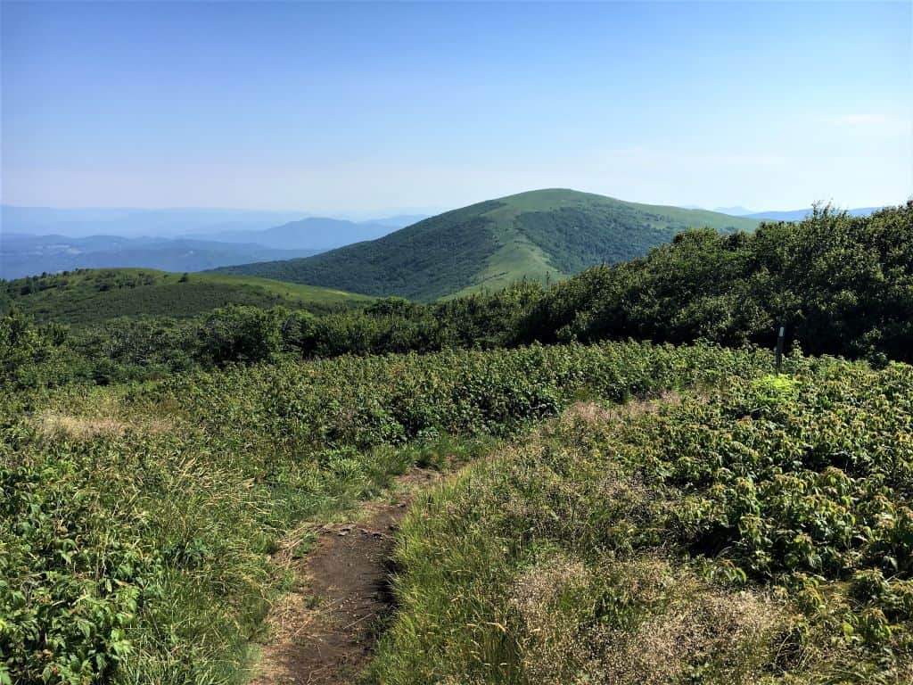 Hump Mountain is the biggest climb on this stretch of trail and can be seen from Little Hump Mountain. 
