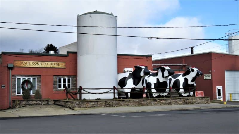 Ashe County Cheese manufacturing building with three black and white cow statues out front.