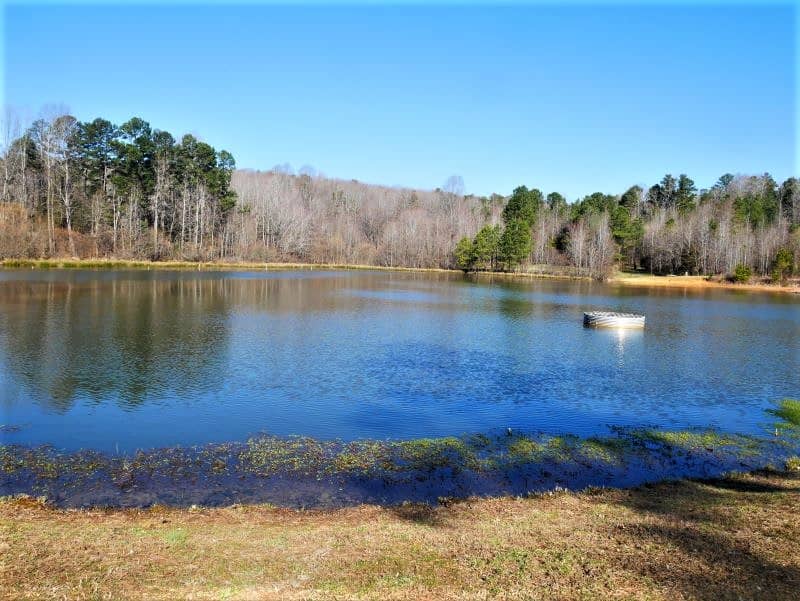 Small blue lake surrounded by brown grass and trees that have lost their leaves on the far side. In the middle of the lake is the top of a circular, metal container. 