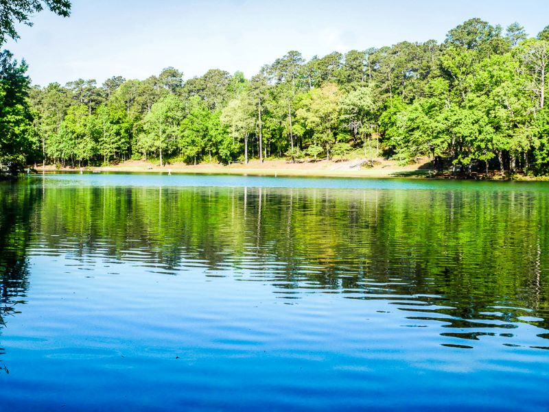 Calm lake at Cliffs of the Neuse State Park