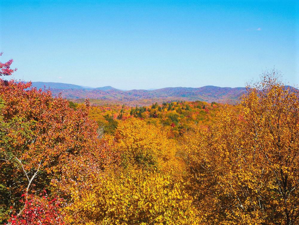 Red and yellow trees from an overlook with distant mountains appearing red