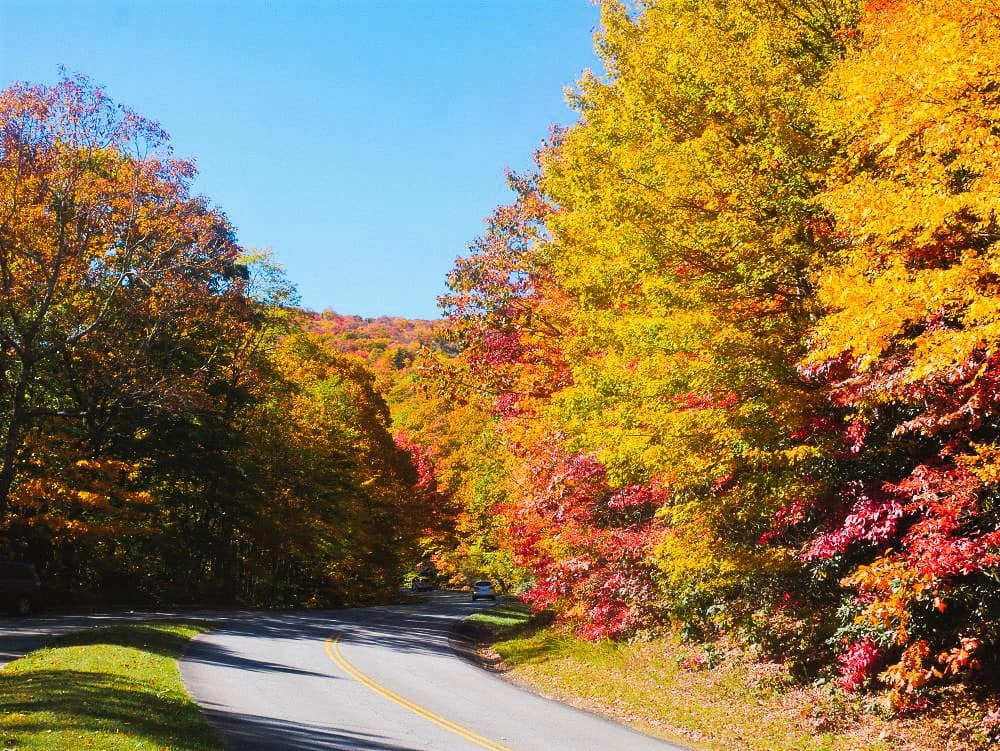 Car driving down a turn in the Blue Ridge Parkway with red and yellow trees lining both sides.
