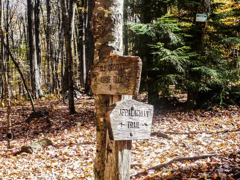 Sign on Appalachian trail for Old Orchard shelter and North and South trail.