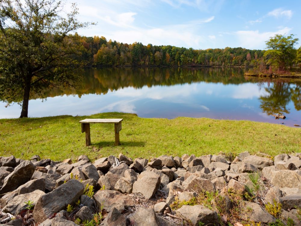 Bench on green grass overlooking shallow area of Falls Lake.