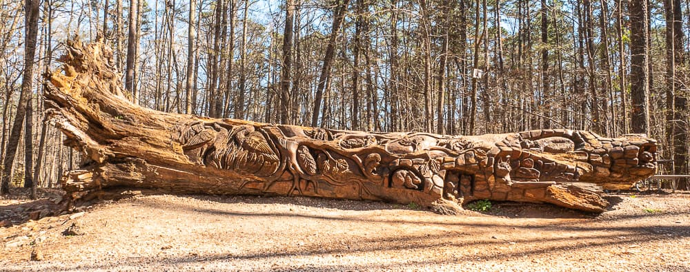 Old red log that is carved into shape of alligator with other animals carved in its side. 
