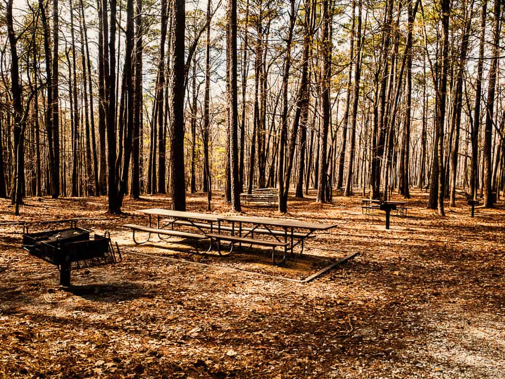 Picnic tables in wooded area with leaves on the ground and a grill nearby. 