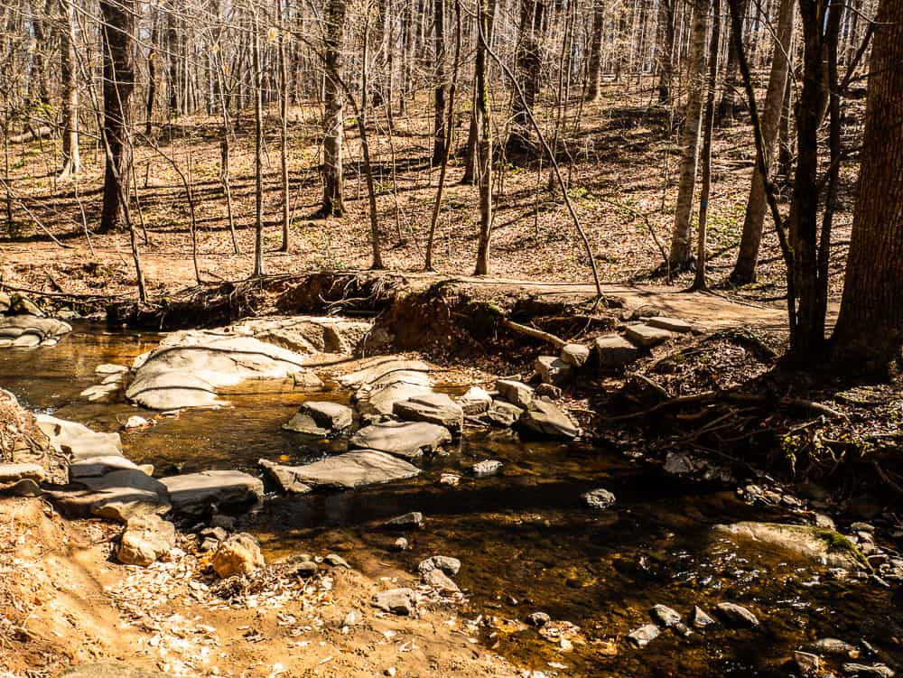 Rocks lined to make crossing over stream on Loblolly trail. 
