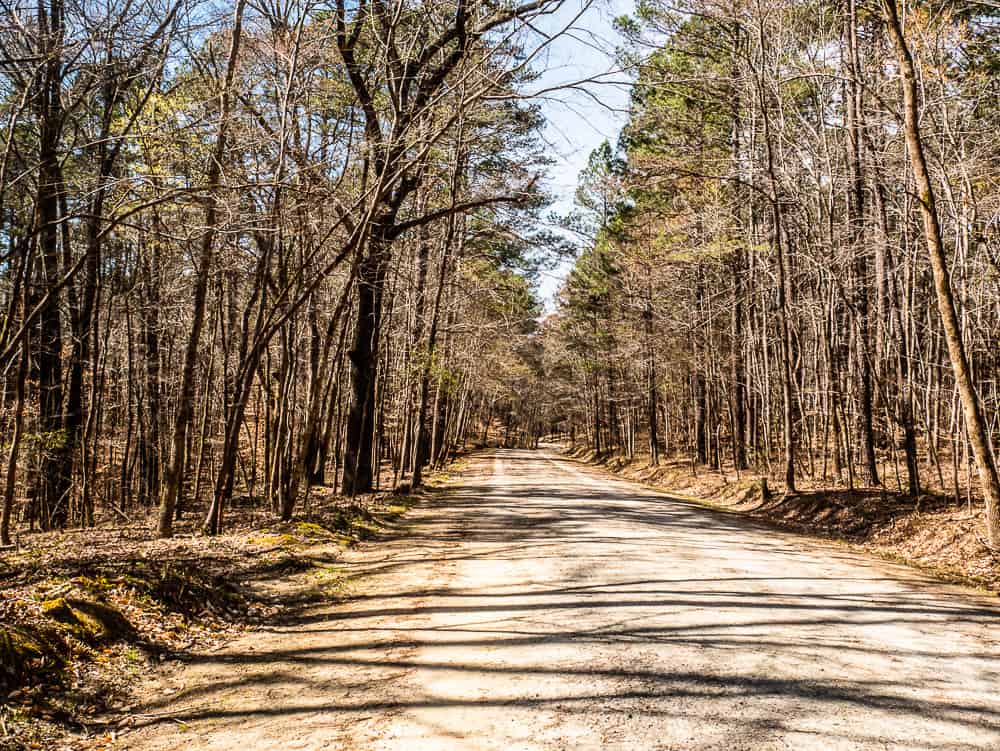 Dirt road lined by trees that is Turkey Ridge Multi-use trail. 